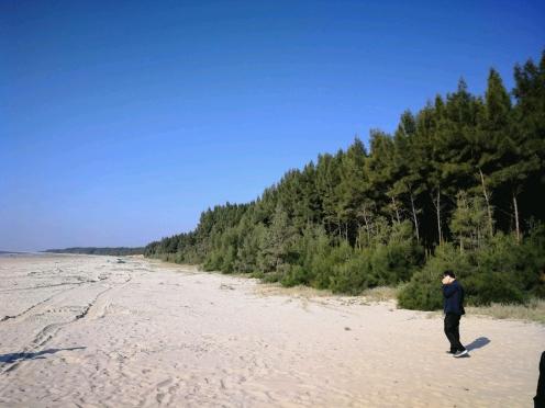 揭秘2025最新臺風(fēng)路線(xiàn)，提前預警，保障安全無(wú)憂(yōu)