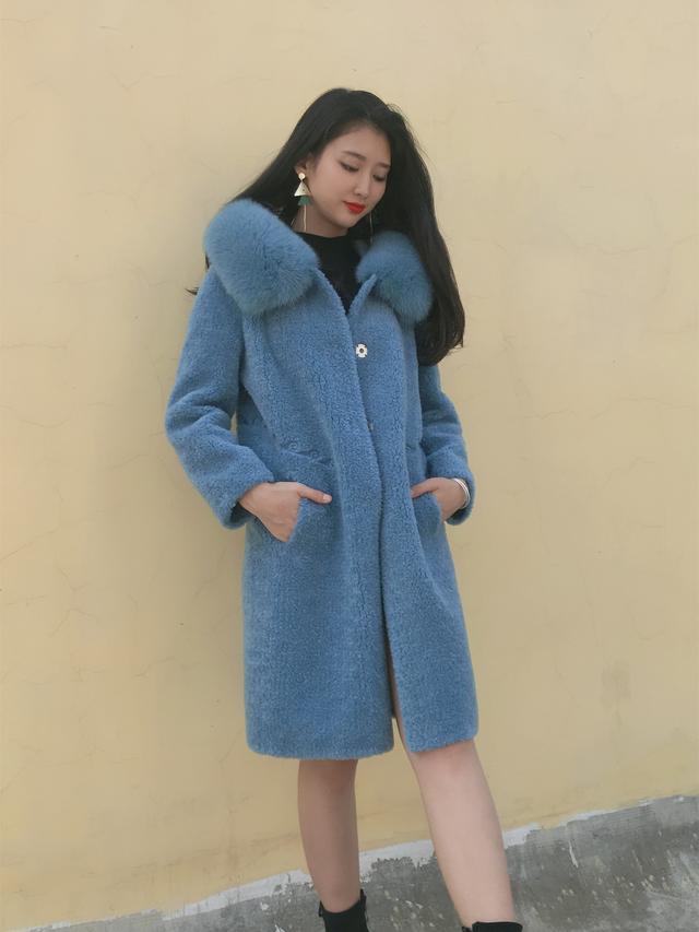 三七花最新價(jià)格揭秘，溫馨小故事中的尋找之旅