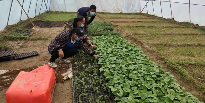 策勒最新招聘啟航人才新篇章，學(xué)習變化，擁抱自信與成就，啟程人生新征程！