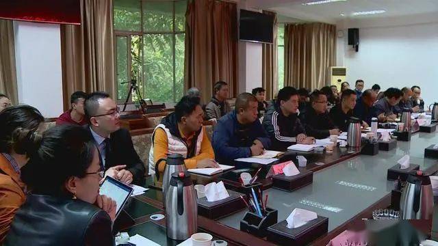 德昌最新新聞，擁抱自然，心靈寧靜之旅啟程