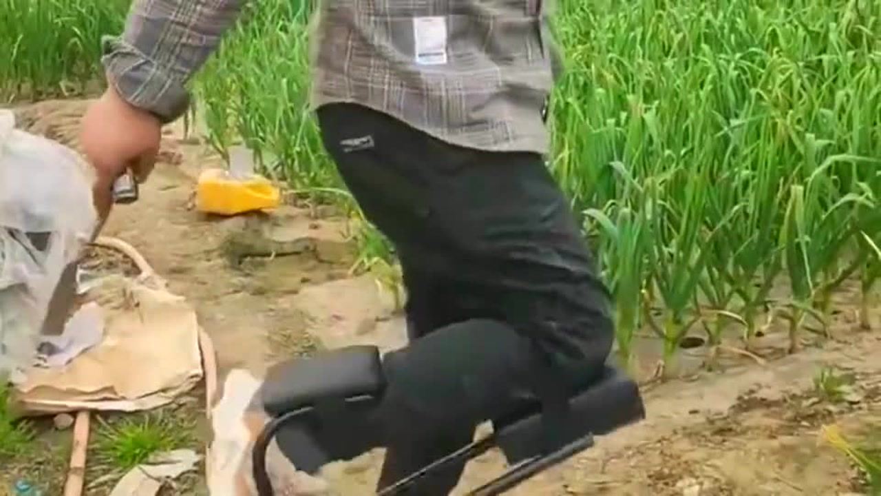 最新挖蒜工具，心靈與自然的完美交融