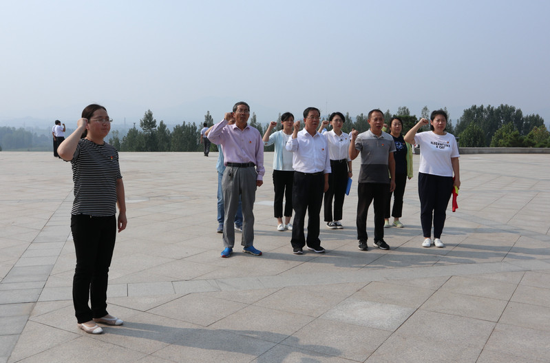 肥城房產(chǎn)最新動(dòng)態(tài)，市場(chǎng)走勢、熱門(mén)區域與案例分析