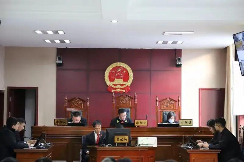 偏關(guān)最新案件深度解析，揭示真相，關(guān)注社會(huì )公正與公平