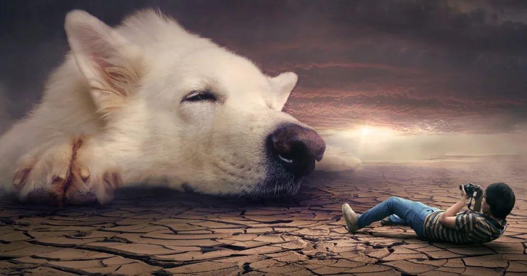 夢(mèng)境最新研究揭秘，探索人類(lèi)夢(mèng)境的奧秘