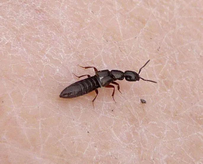 高效應對問(wèn)題關(guān)鍵策略，最新處理方法詳解