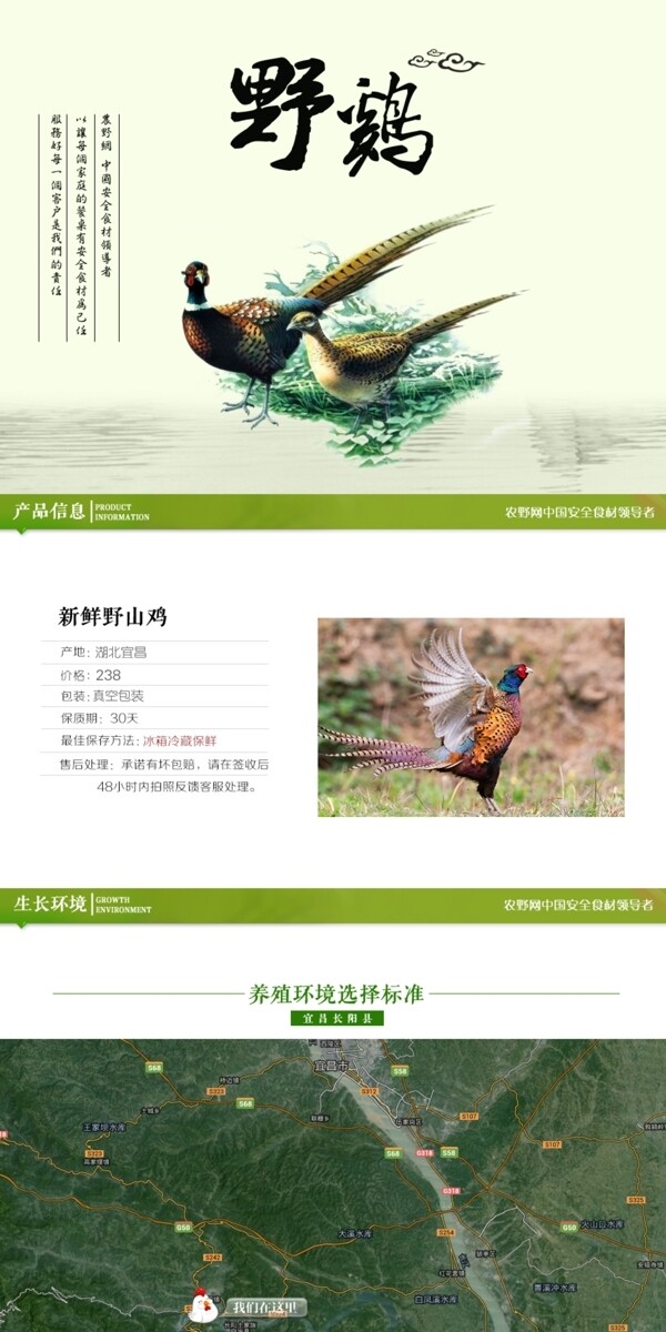 深度剖析，最新山雞的背景、事件與地位概述