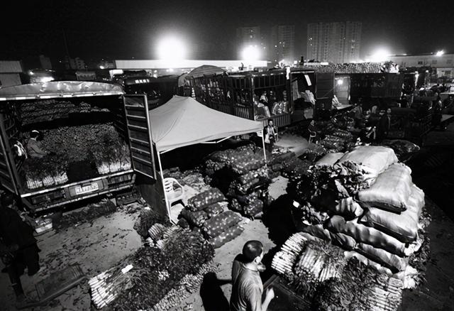 掌握新技能與完成任務(wù)，最新趨勢下的步驟指南