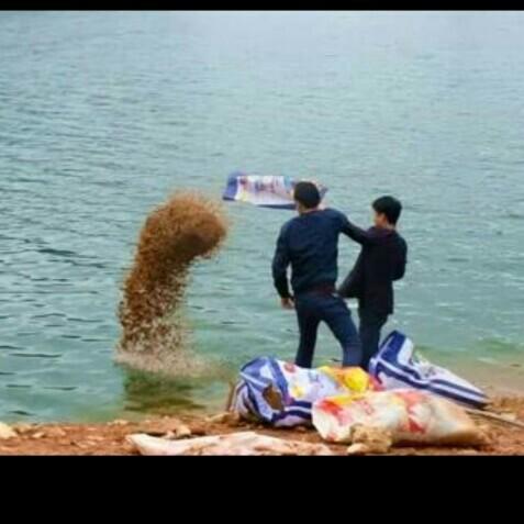 科學(xué)釣魚(yú)最新探索，學(xué)習與實(shí)踐的成就感之旅