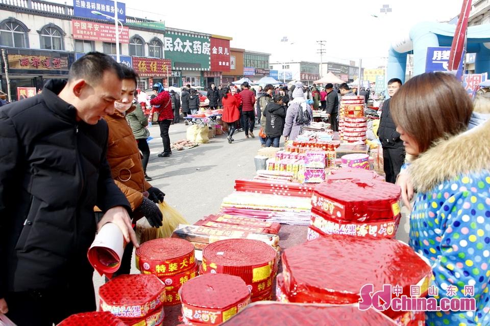淘元素最新，淘淘的奇妙冒險之旅與友情的溫暖體驗