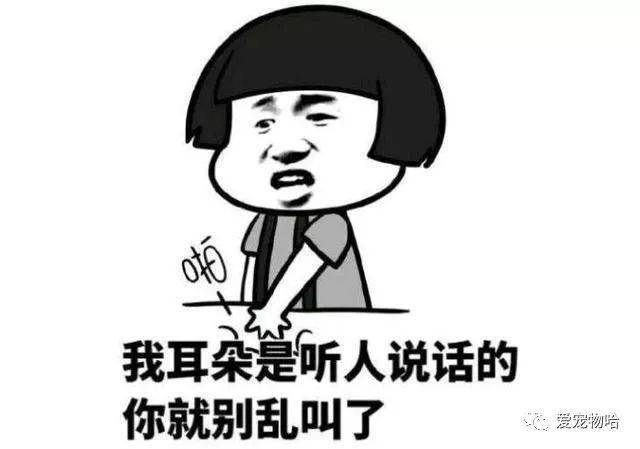 最新枕邊笑話(huà)，科技小寶貝，生活添樂(lè )趣