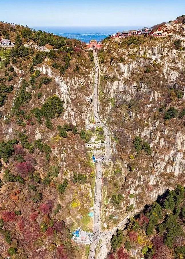 泰山最新聞，觀(guān)點(diǎn)與立場(chǎng)的深度探討