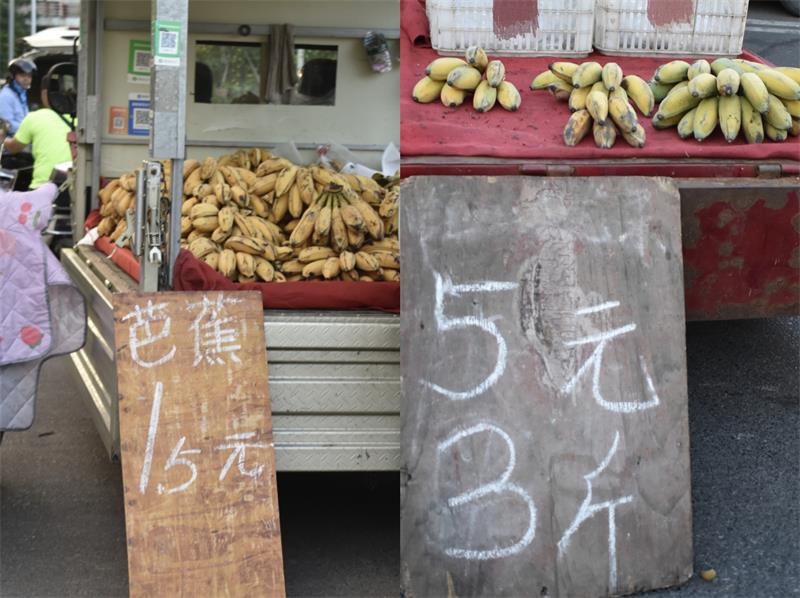 芭蕉最新價(jià)格，開(kāi)啟心靈平靜的綠色之旅