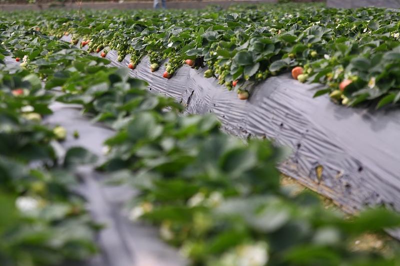 湖北最新封鎖，科技智能重塑防線(xiàn)，守護生活安全