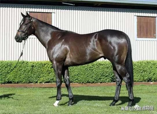 卡拉卡最新指南，任務(wù)完成與技能學(xué)習步驟攻略