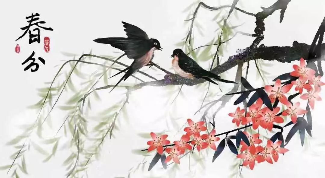 春分最新圖片，展現自然之美的瞬間