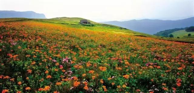 晉城最新景區游玩攻略指南