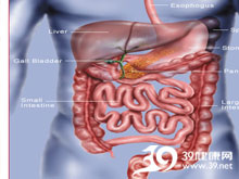 高科技產(chǎn)品重塑生活，體驗前沿魅力，探索腸鳴最新技術(shù)