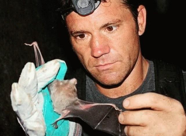 蝙蝠最新電影，自信與成長(cháng)的翅膀，勵志翱翔天空之旅