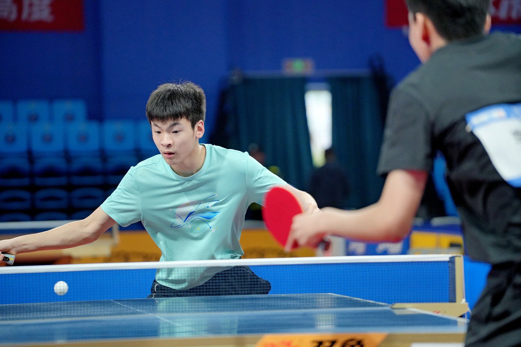 乒乓比賽最新動(dòng)態(tài)與成長(cháng)指南，一步步成為乒乓高手之路