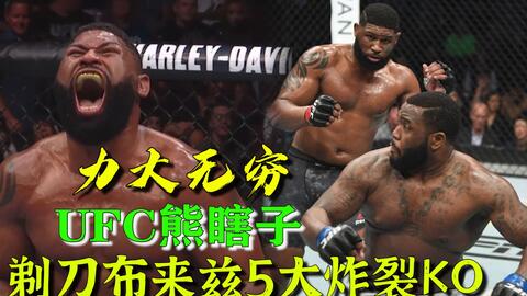 小菊最新比賽，友誼與夢(mèng)想的絢爛綻放