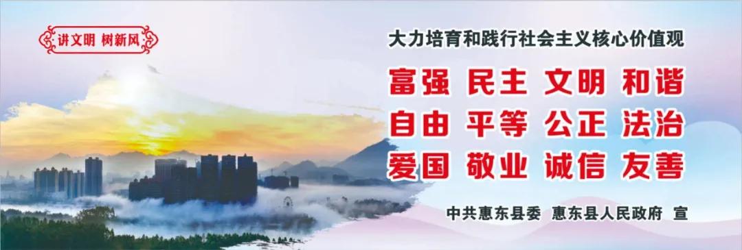 惠州肺炎最新動(dòng)態(tài)，小巷深處的獨特小店背后的故事