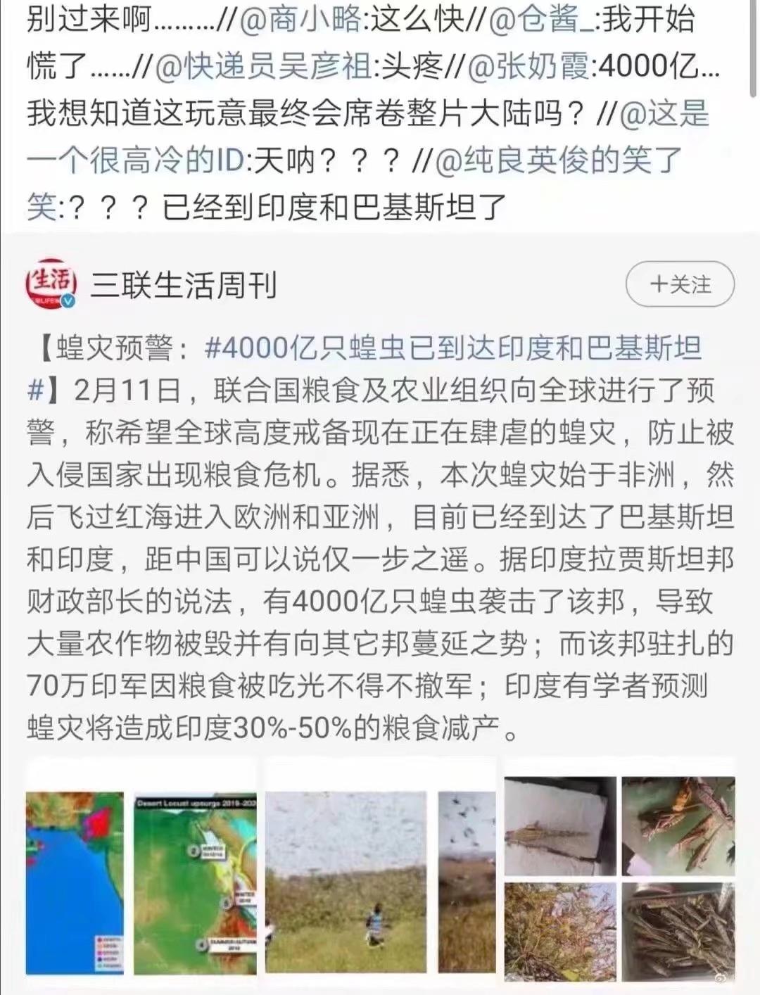 蝗蟲(chóng)最新動(dòng)態(tài)，防治與監測的全面指南