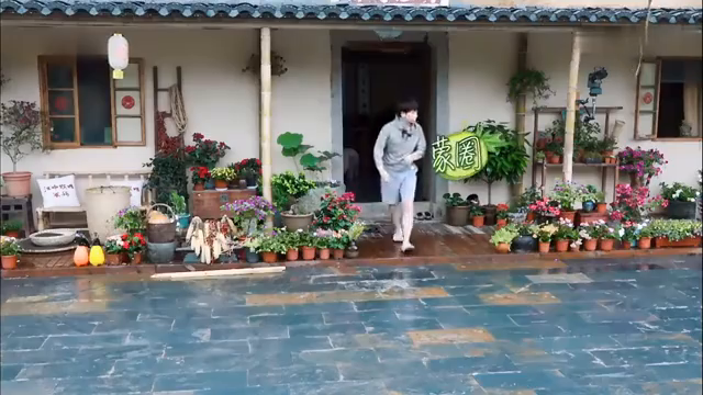 最新蘑菇屋，自然與生活完美融合的夢(mèng)幻之地