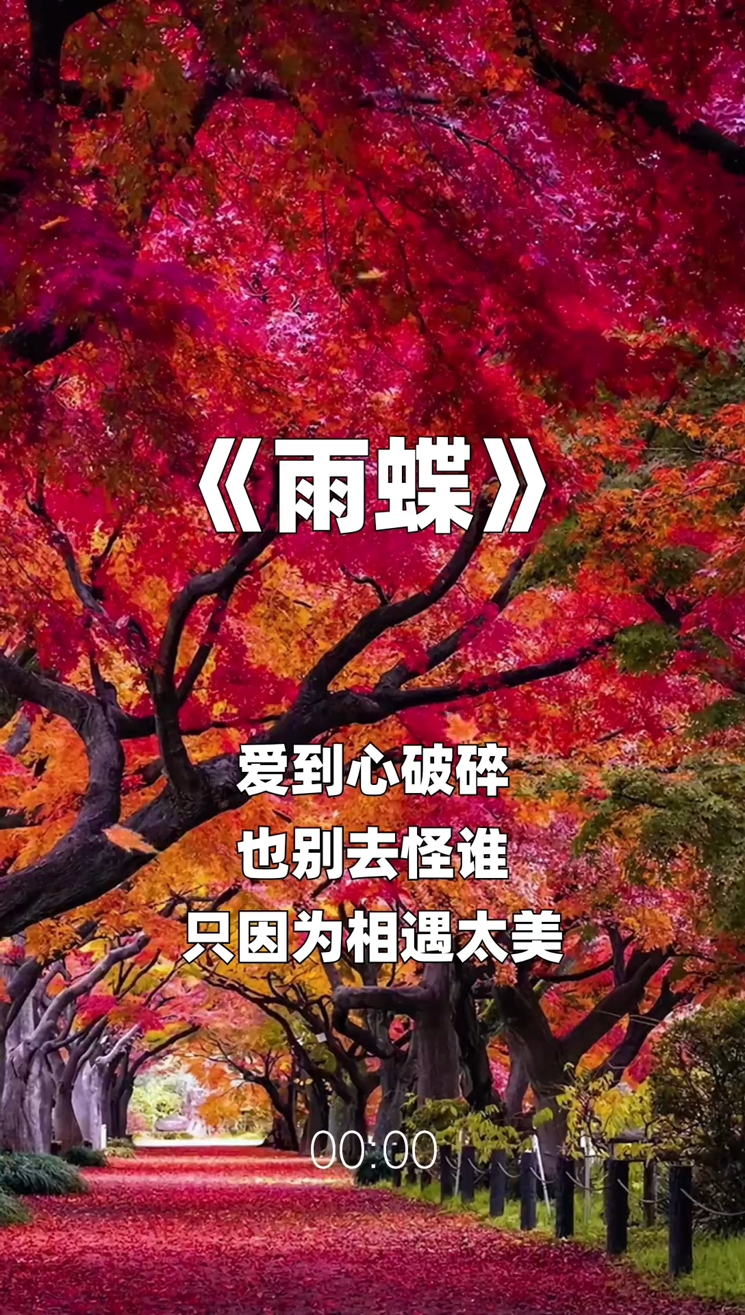 雨蝶最新步驟指南，如何完成任務(wù)或學(xué)習技能？