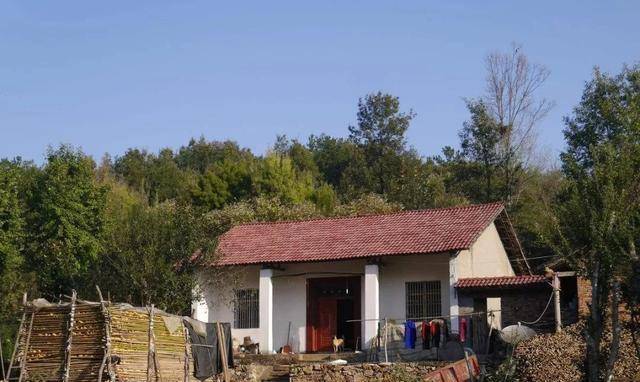 新時(shí)代田園生活揭秘，鄉村農村的最新風(fēng)貌與體驗