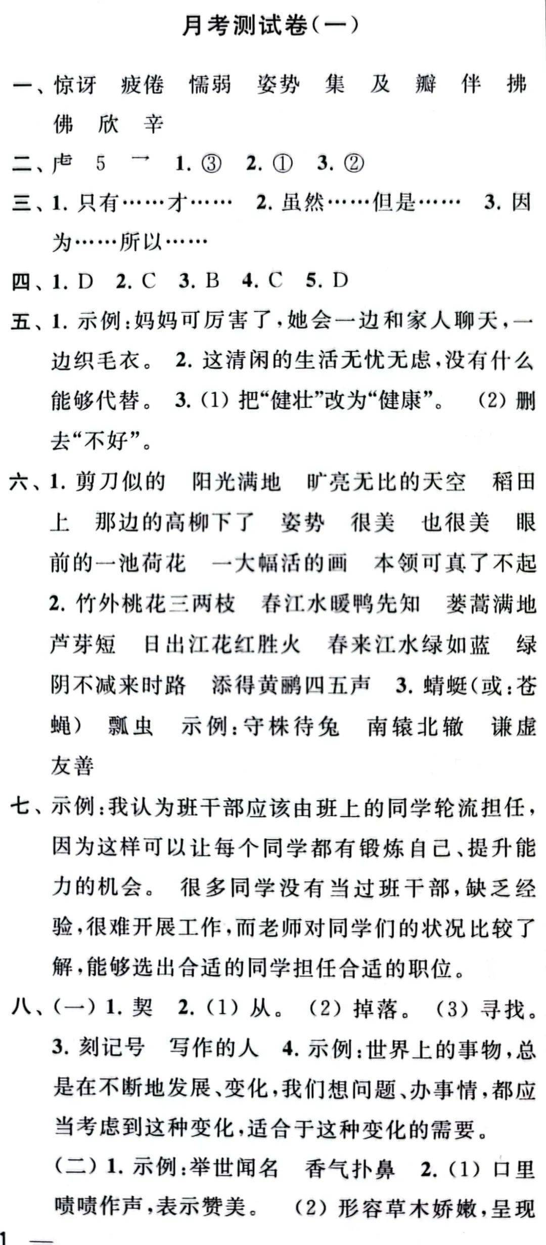 最新月考與大自然療愈之旅，尋找內心平靜的奇妙探險