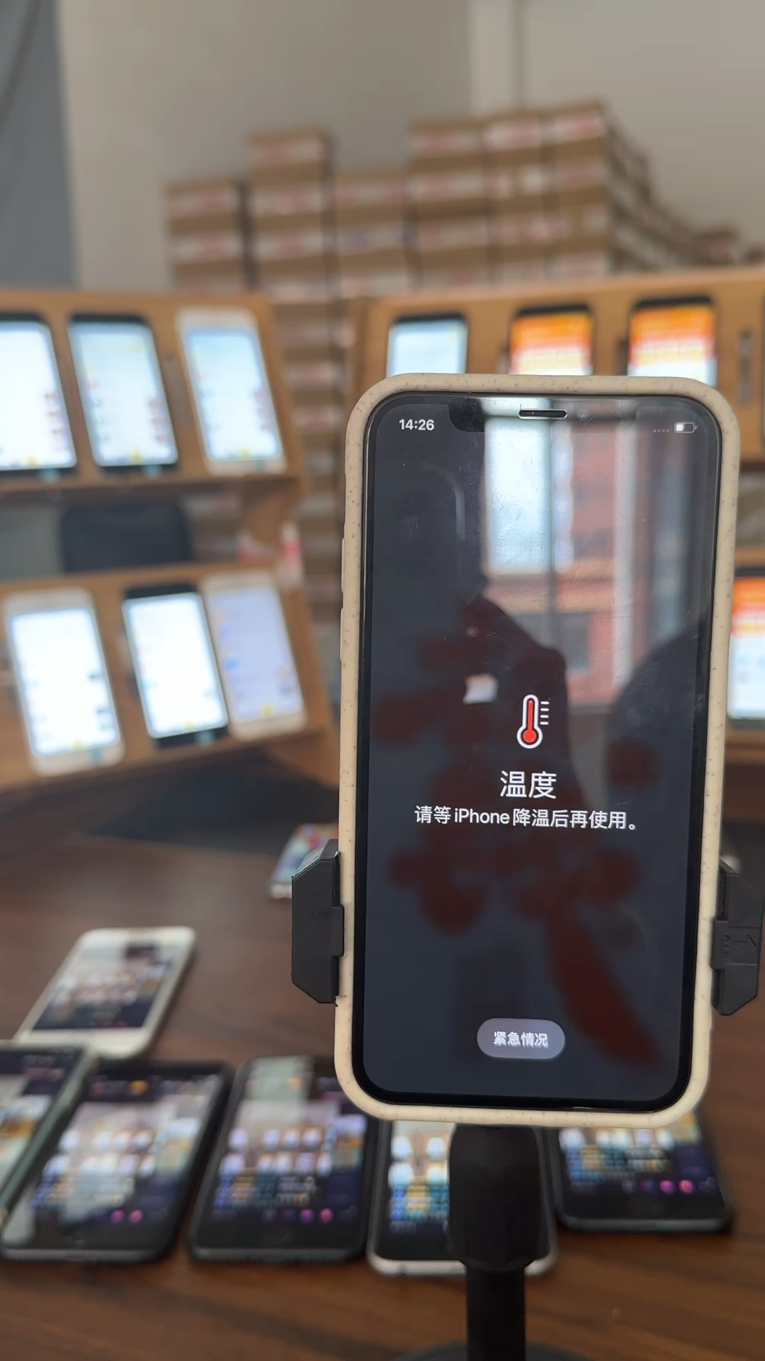 蘋(píng)果最新直播，科技與文化的完美融合盛宴