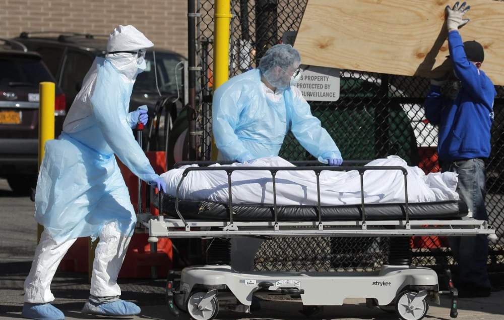 最新疫情防護指南第55版，自我防護與應對任務(wù)的關(guān)鍵策略