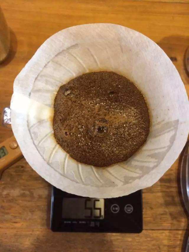 最新萃取法詳解，步驟指南與操作技巧