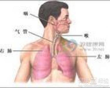 咸豐肺炎最新全面指南與詳解，癥狀、治療、步驟解析