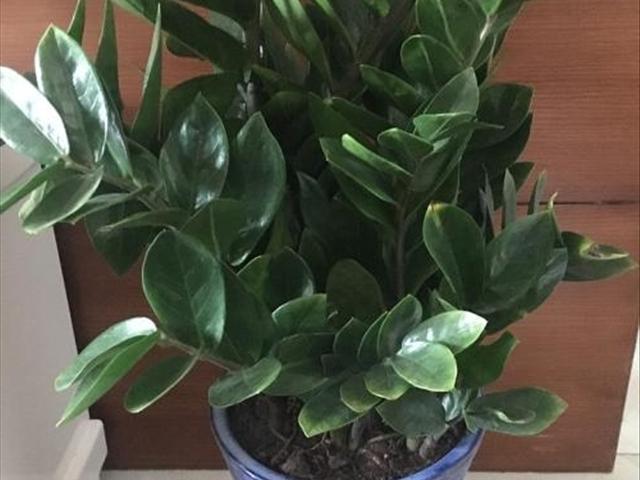 工程廠(chǎng)房燈具 第59頁(yè)