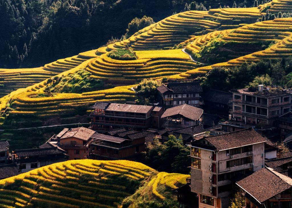 金秋天最新時(shí)尚潮流，獨特風(fēng)情展現魅力風(fēng)采