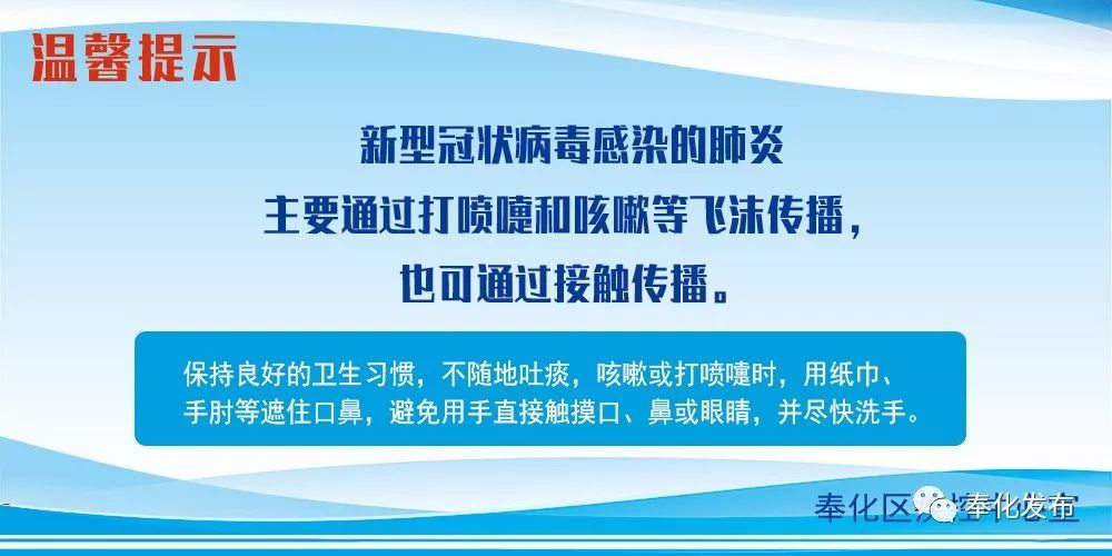 余姚最新確診背后的自然探索之旅，重拾心靈寧靜與平和