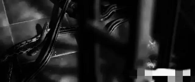 香港最新房?jì)r(jià)趨勢展望，2025年分析與展望