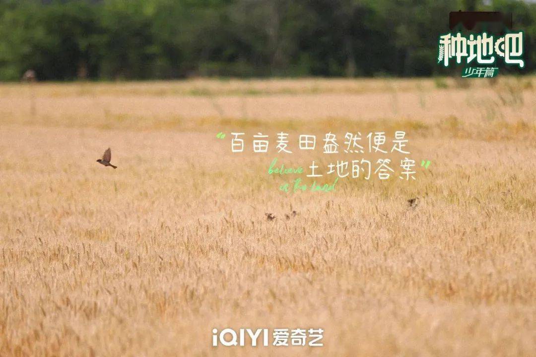 種地吧最新語(yǔ)錄，探索未來(lái)農業(yè)的高科技魅力