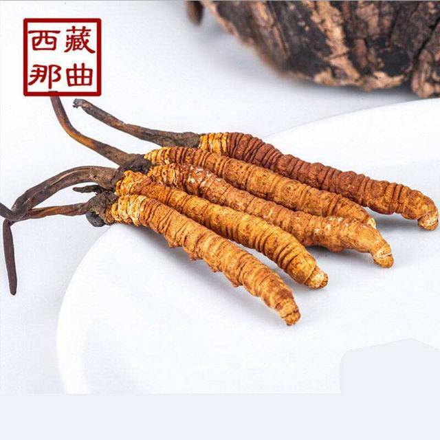 揭秘2025年蟲(chóng)草最新價(jià)格，探尋小巷中的秘密行情！