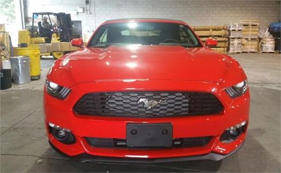 威路德最新款，小巷中的驚喜發(fā)現