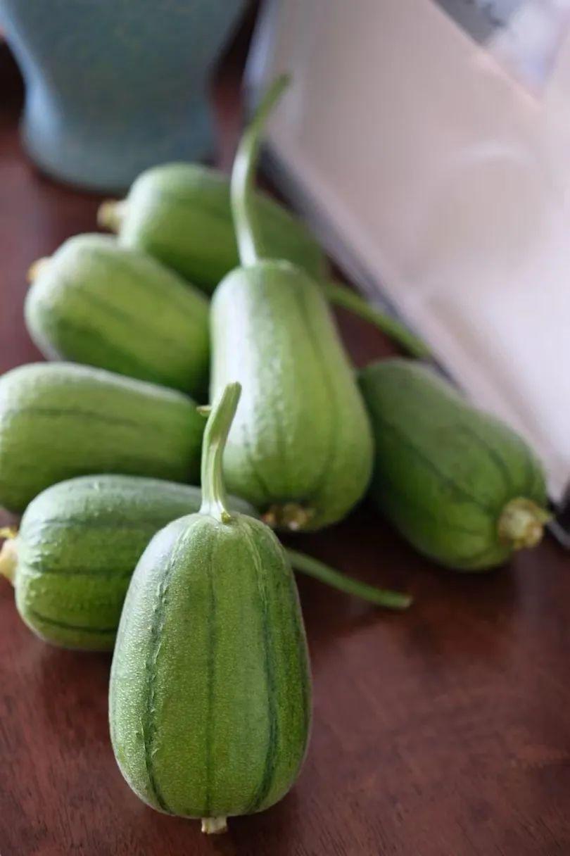 蘋(píng)果絲瓜最新版，全新升級魅力體驗