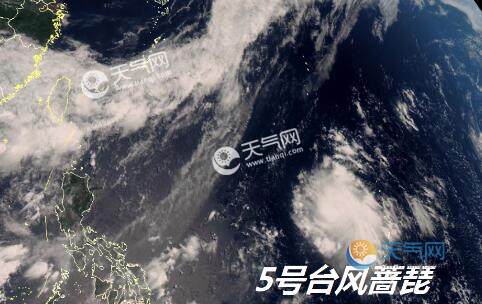 最新實(shí)時(shí)臺風(fēng)風(fēng)力查詢(xún)指南，風(fēng)力信息及查詢(xún)步驟全解析