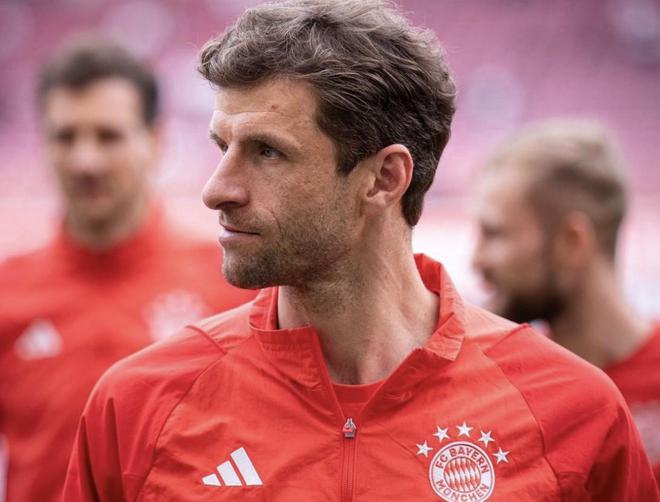 慕尼黑最新動(dòng)態(tài)，城市生活的溫馨日常