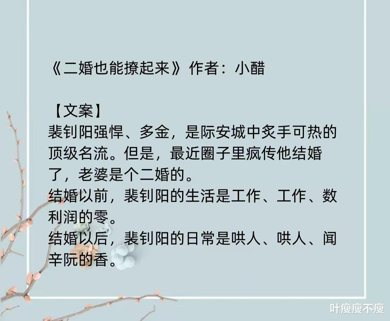 最新二婚小說(shuō)，小巷深處的浪漫故事