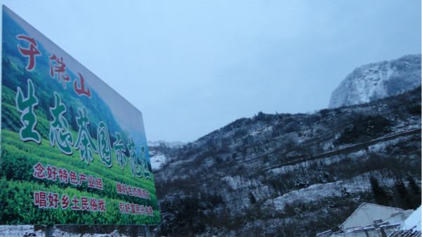 千佛山綿陽(yáng)最新探索，巷弄深處的獨特風(fēng)味之旅