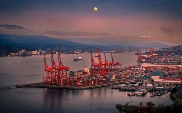 揭秘，53艘運煤船在華新動(dòng)態(tài)與獨特煤香小店的故事