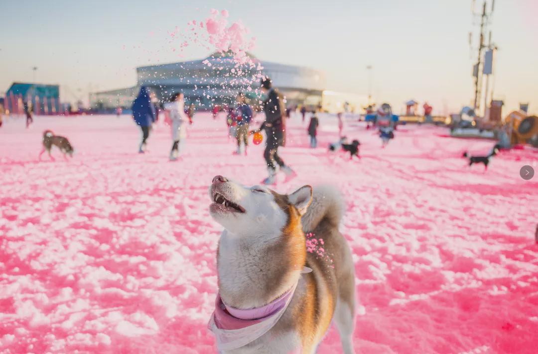 小信的世界最新科技前沿產(chǎn)品亮相，生活變革從此刻啟程