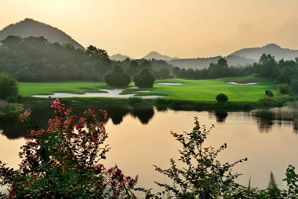 風(fēng)水最新動(dòng)態(tài)，日常小事中的風(fēng)水奧秘與溫馨解讀