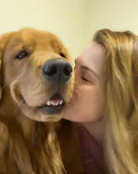 時(shí)代潮流還是陷阱？深度解讀最新趨勢背后的真相